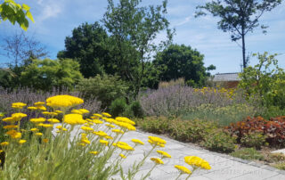 ramming-troester_galerie_027